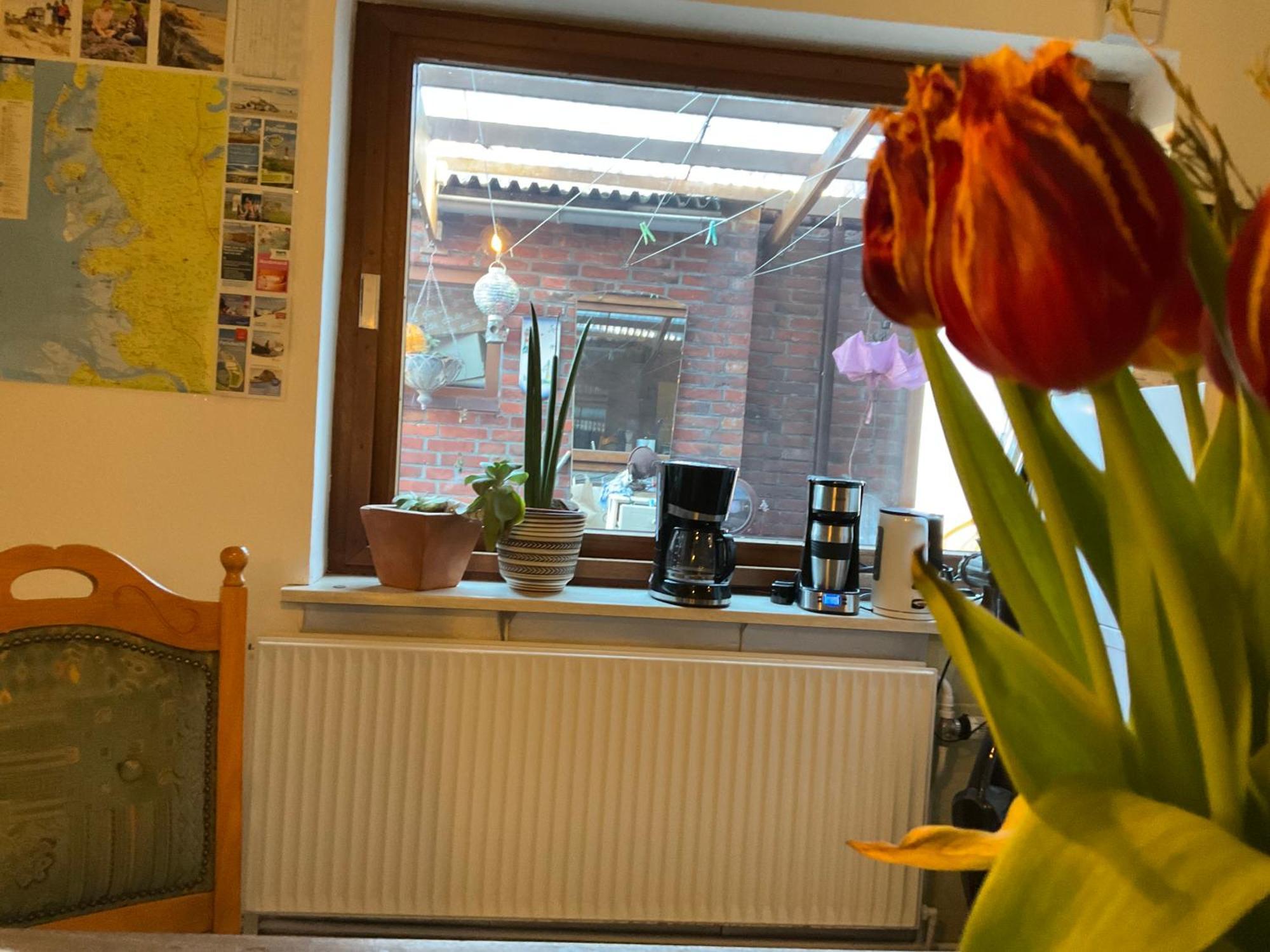 Privartzimmer 'Ausfahrt Freihalten' Husum  Exteriör bild