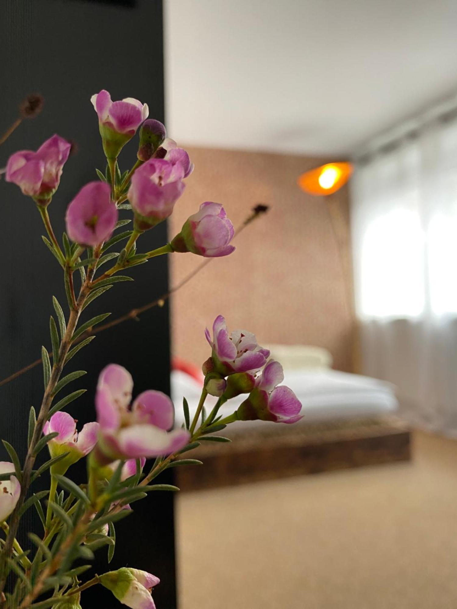 Privartzimmer 'Ausfahrt Freihalten' Husum  Exteriör bild